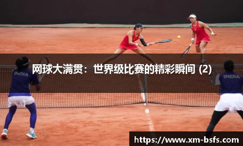 网球大满贯：世界级比赛的精彩瞬间 (2)