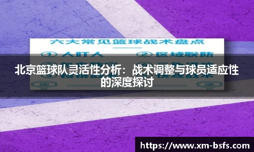 北京篮球队灵活性分析：战术调整与球员适应性的深度探讨